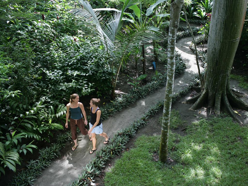 Iguana Lodge Beach Resort Puerto Jimenez Exterior photo
